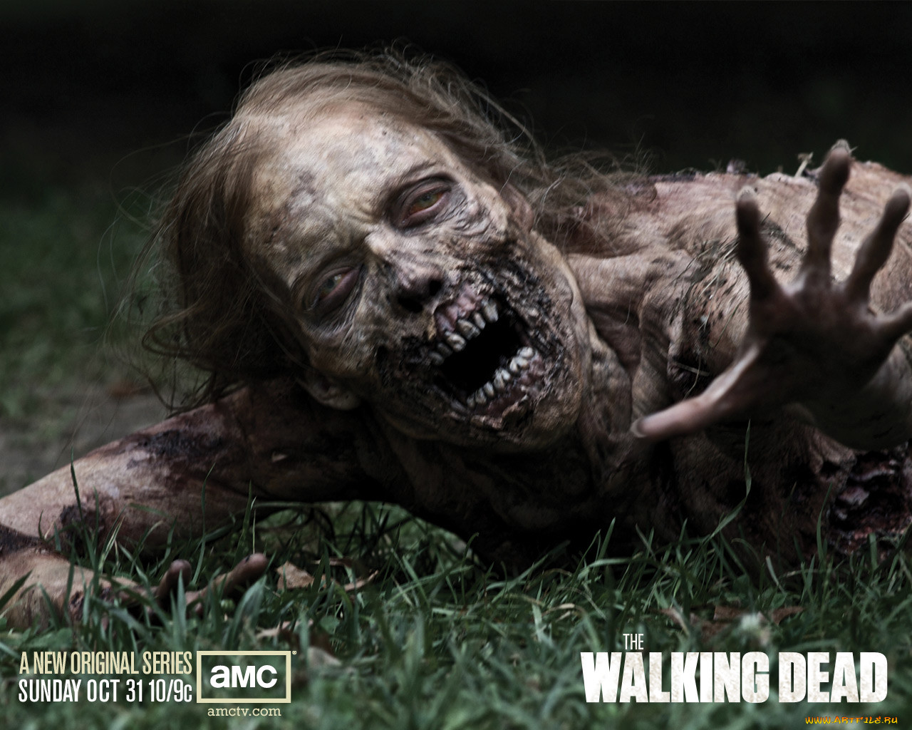 the, walking, dead, , 